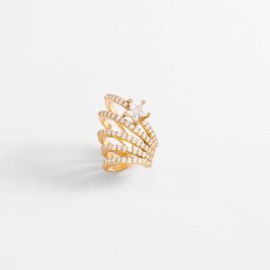 Anillo